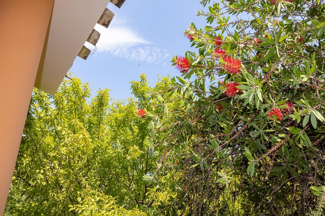 Villa Caterina La Maddalena  Экстерьер фото